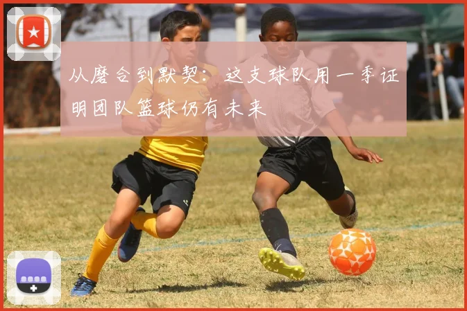 从磨合到默契：这支球队用一季证明团队篮球仍有未来 - 爱游戏推荐