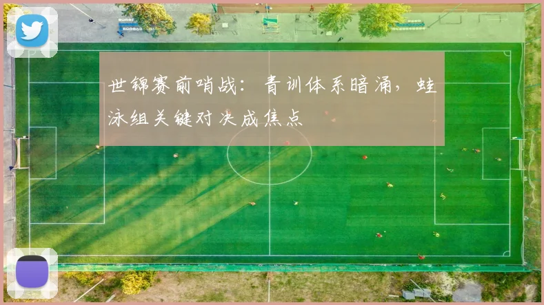 世锦赛前哨战：青训体系暗涌，蛙泳组关键对决成焦点 - 爱游戏推荐