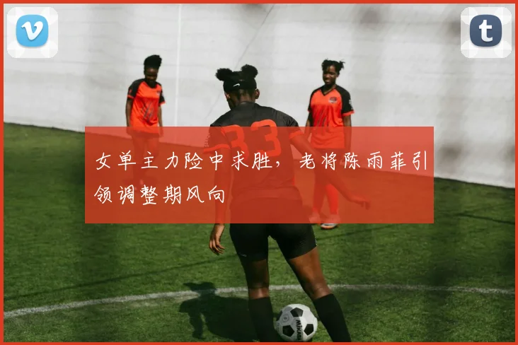 女单主力险中求胜，老将陈雨菲引领调整期风向 - 爱游戏推荐